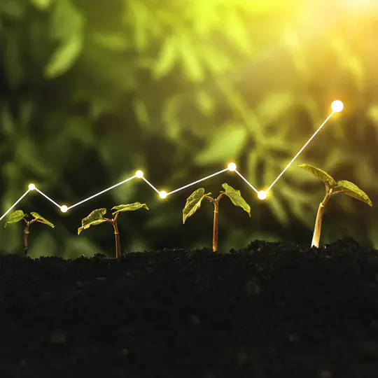 Designing a new survey protocol